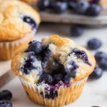 Vegan Blueberry Muffins