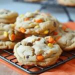 Peanut Butter S’mores Cookies (Levain Style Recipe)