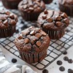 Double Chocolate Chip Muffins