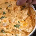 Crockpot Buffalo Chicken Dip Recipe